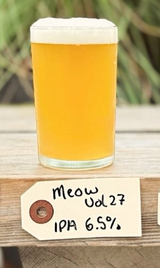 Meow Vol. 27 - Wood Brothers