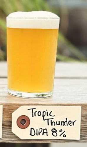 Tropic Thunder - Wood Brothers